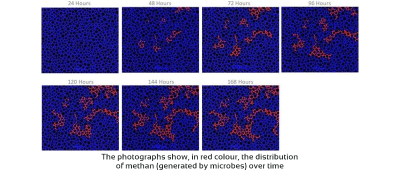 Microbial flow inspired placeholder graphic for InspIOR